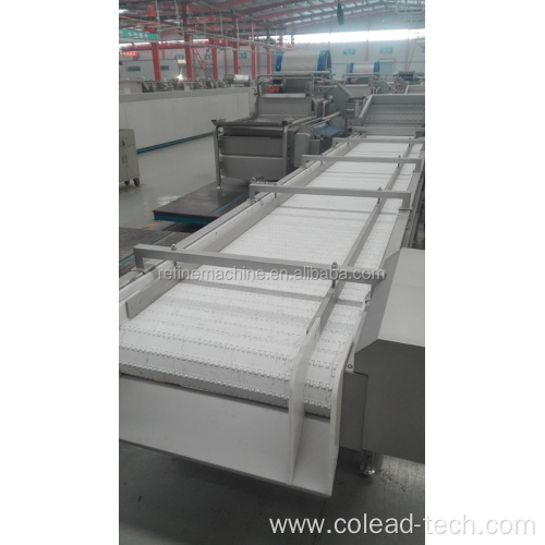 vegetable and fruit conveyor processing machine